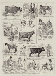 A Dairy Show-n, Islingtonban